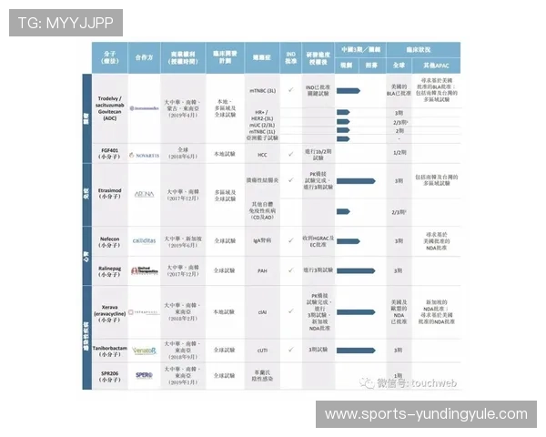 保障玩家权益云顶新耀官网信誉建设的关键措施与实践经验